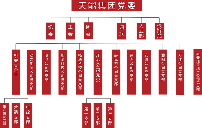 sefmlp建团党委组织架构