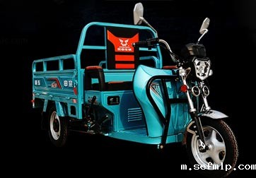 电动三轮车电池